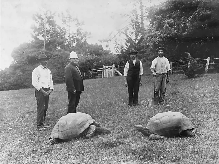 A very old beginning — c. 1886